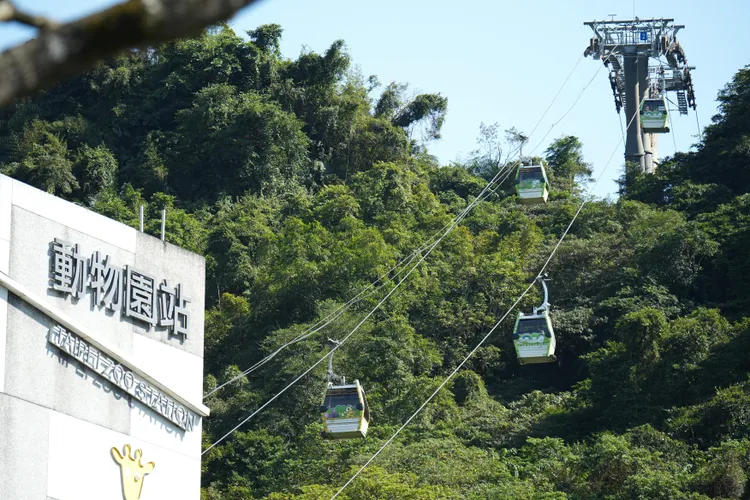 貓空纜車3月3日起票價調漲。彭欣偉攝