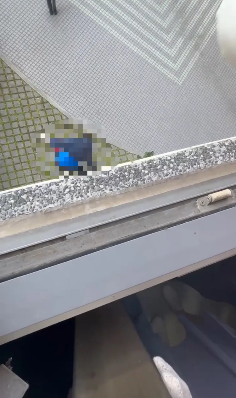 女護理師一度卡在半空中，不到2秒後隨即脫離安全穿戴裝置往下墜，翻攝畫面