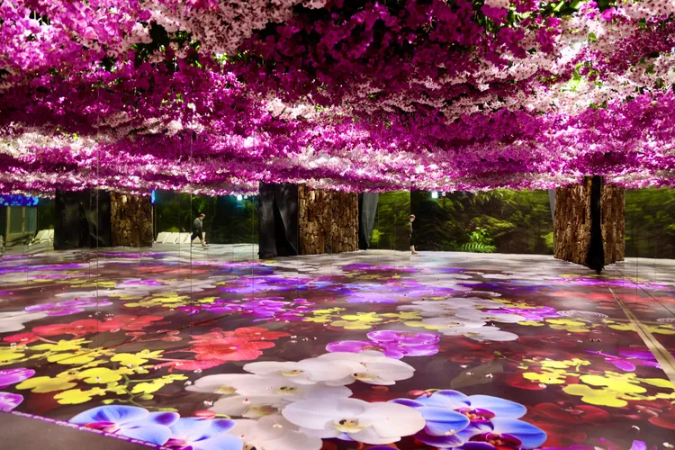 台灣國際蘭展這次以超過15萬株蘭花布置，要讓眾人驚艷。南市府提供