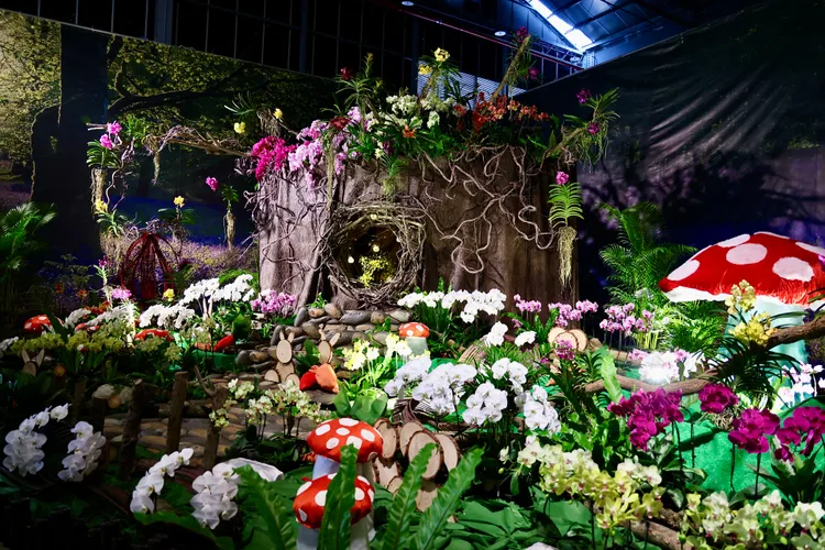 展場規劃4大場域、5大展館，精心準備20項精彩主題。南市府提供