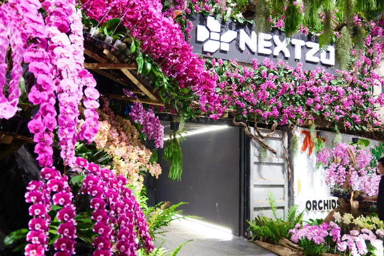 展區把蘭花結合時尚、光影科技與沉浸式體驗，帶進AI概念。南市府提供