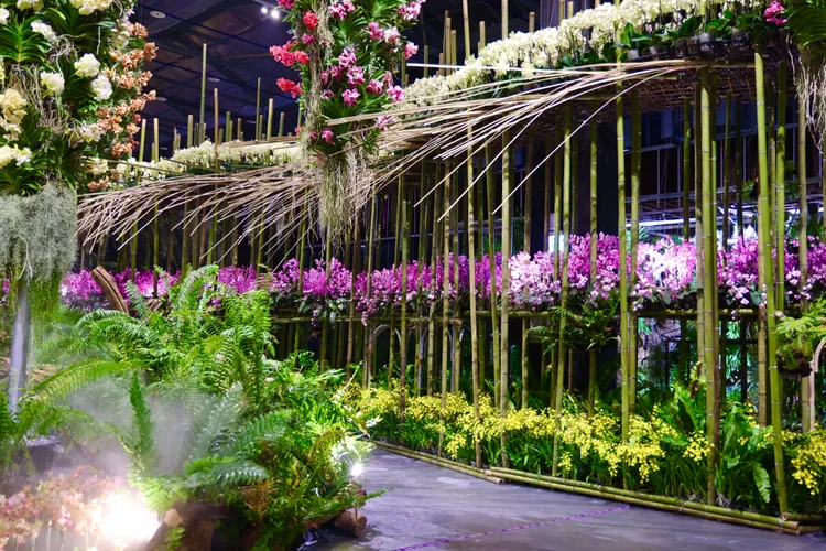 台灣國際蘭展展期從8日到23日。南市府提供