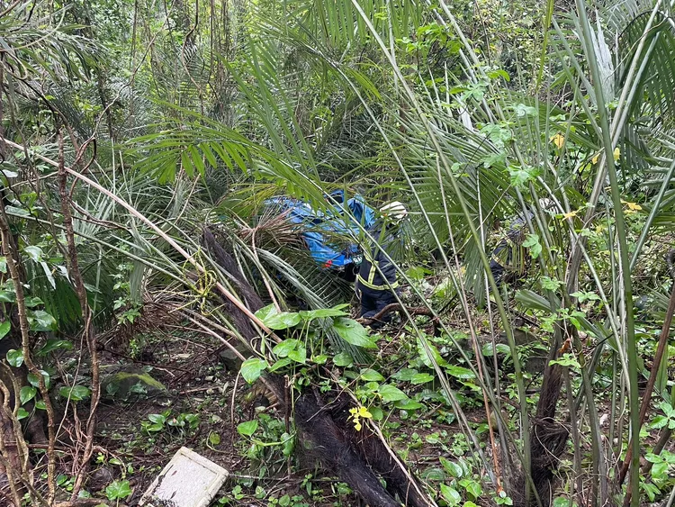 警消到場救援。警方提供