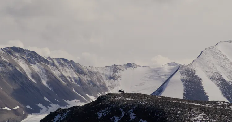 馬修連恩等了40年，終於登上加拿大最高峰拍攝音樂紀錄影片。圖／獨一無二娛樂文化提供