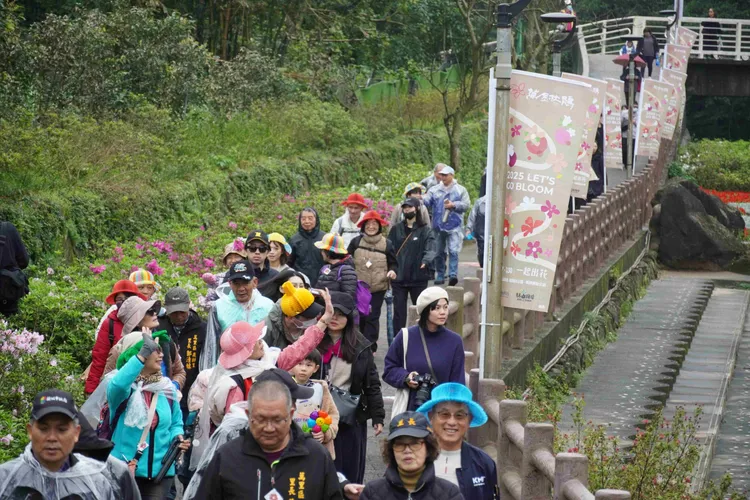 新北市農業局在萬里瑪鋉溪畔舉辦萬金杜鵑「花花競走」活動，200位民眾以杜鵑花為主題裝扮競走。農業局提供