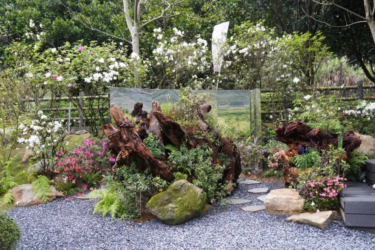 農業局在觀光公園打造「映山園」日式庭園造景。農業局提供