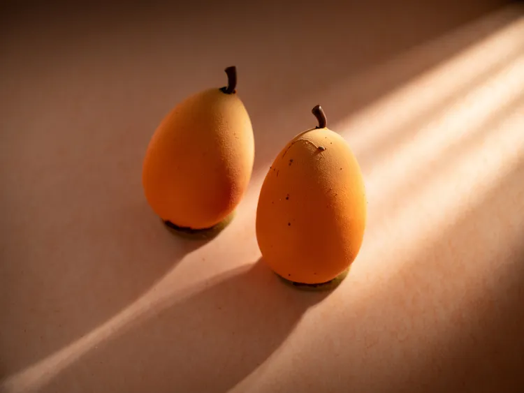 台北文華東方酒店「文華餅房」季節甜點「枇杷」，主廚選用開春盛產的枇杷製成奶霜，以雅緻清甜的鮮果美點為春夏揭開序幕。台北文華東方酒店提供