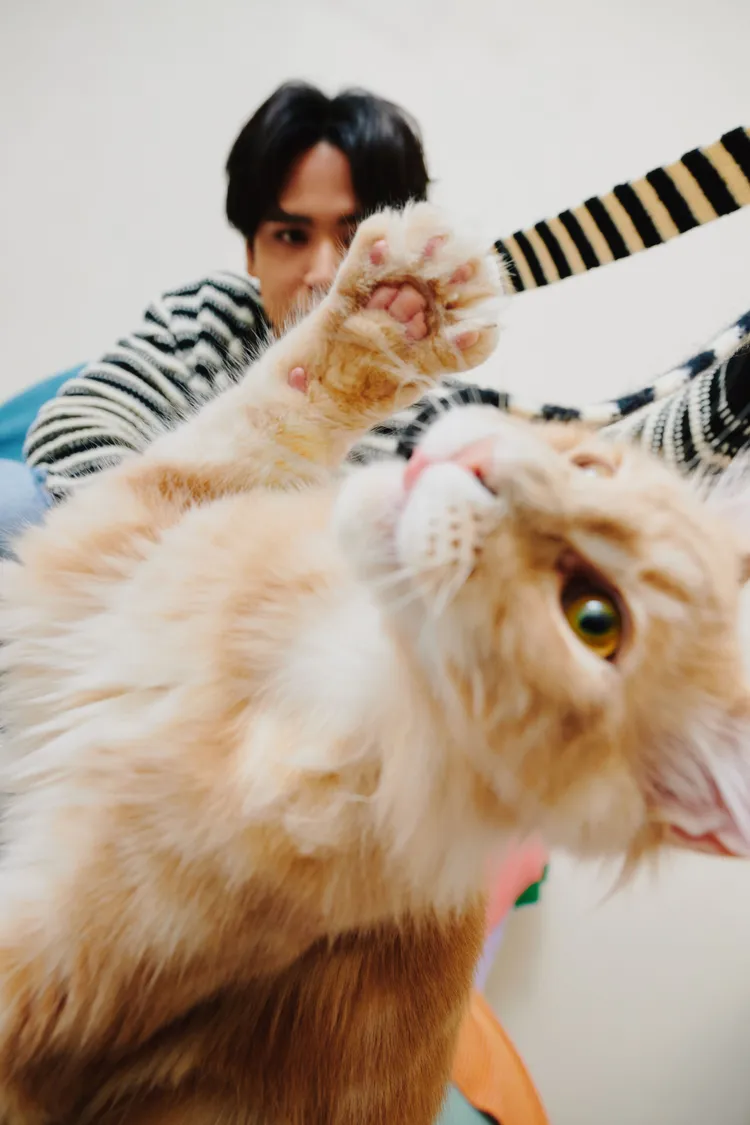 這次新歌單曲封面陳零九特別與四個多月大的愛貓「橘籽」一同入鏡。種子音樂提供