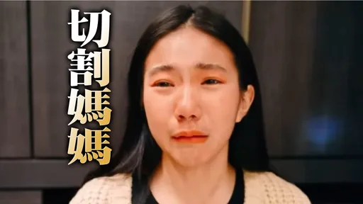 家寧「受害者姿態」2刀切割!向母查帳沒結果 撇清秘月期&群海關聯