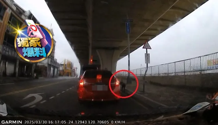 黑狗被趕下車後，守在主人的紅色轎車旁不願離去。讀者提供