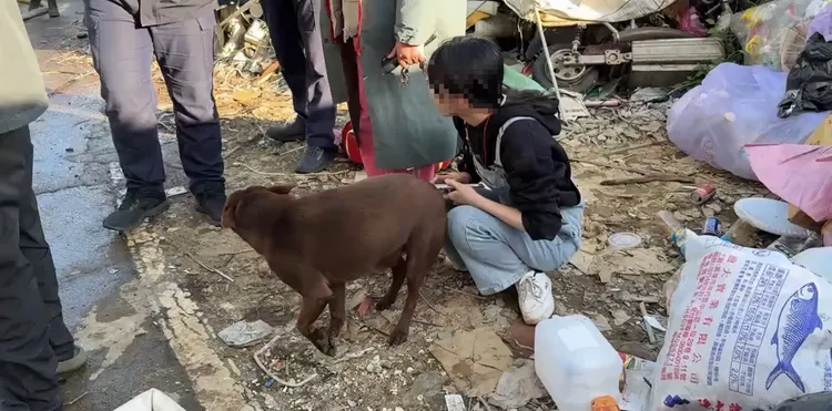 王姓屋主趕回家後及時救出受困女兒與2隻狗狗。翻攝照片