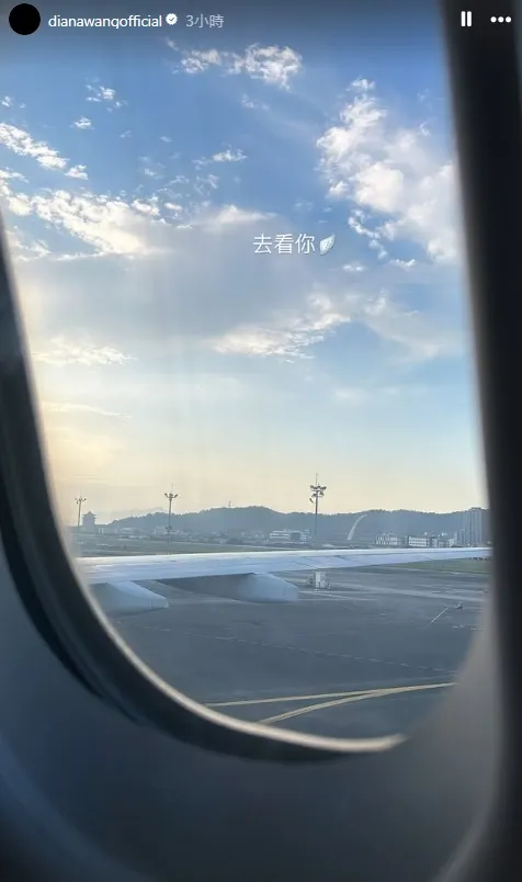 王詩安po去搭機照說「去看你」。翻攝王詩安IG