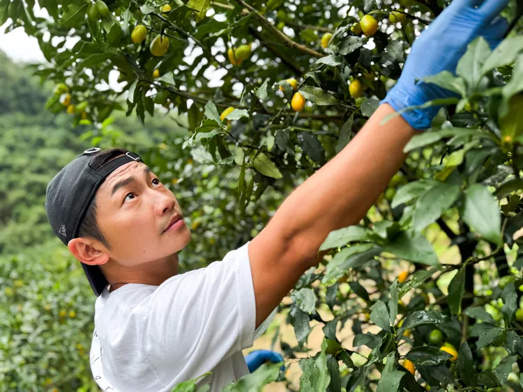 蔡昌憲為了獲取食材，出招干擾對手。華視提供