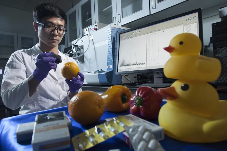 英國高等教育調查機構公布2025世界大學學科排名，中山大學入榜學科數全國前5強，共有5個新入榜學科。中山大學提供