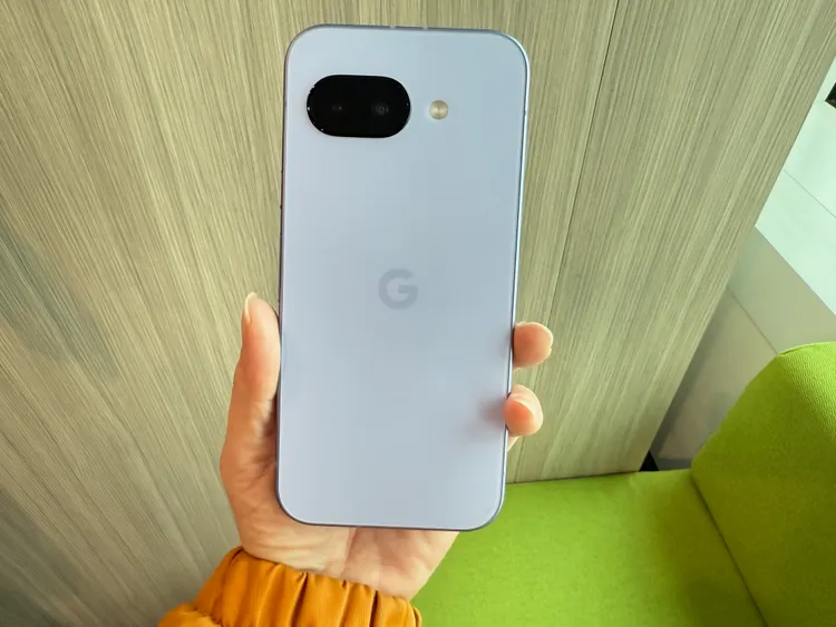 鳶尾紫色在光線照射下有著淺藍色的感覺。趙筱文攝