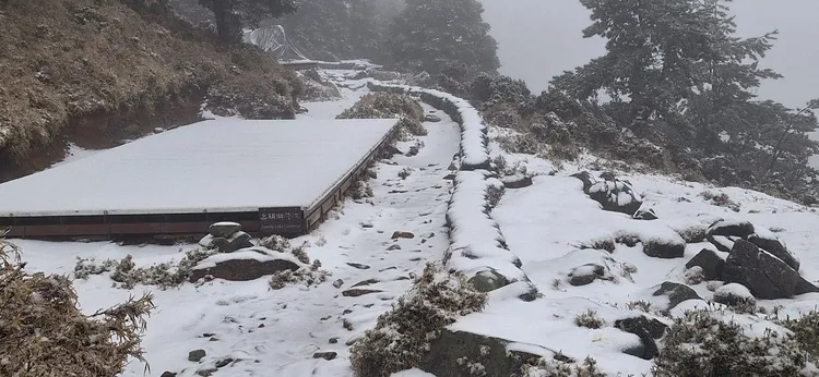 嘉明湖山屋附近步道一片白茫茫。林保署台東分署提供