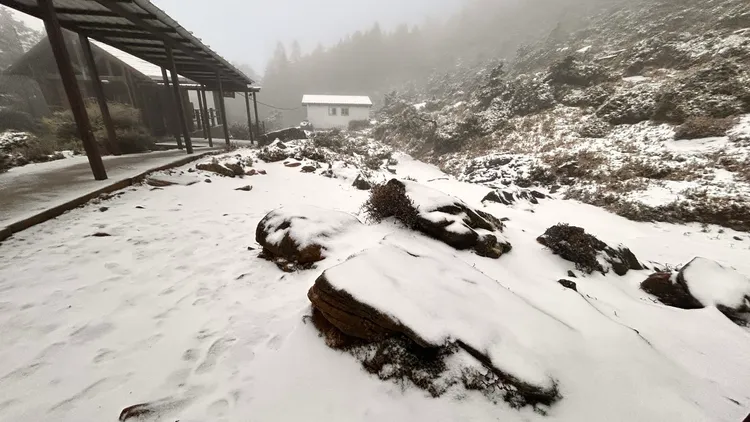 嘉明湖山屋附近步道一片白茫茫。林保署台東分署提供