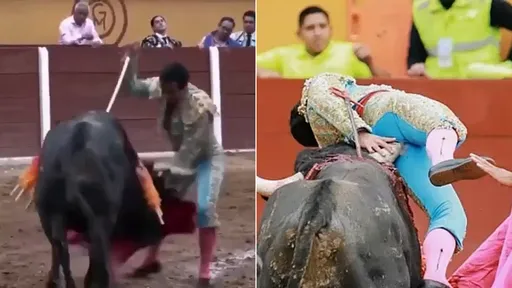 影片|刺死鬥牛遭絕命反擊 「牛角爆菊」狂虐重創人類殺手