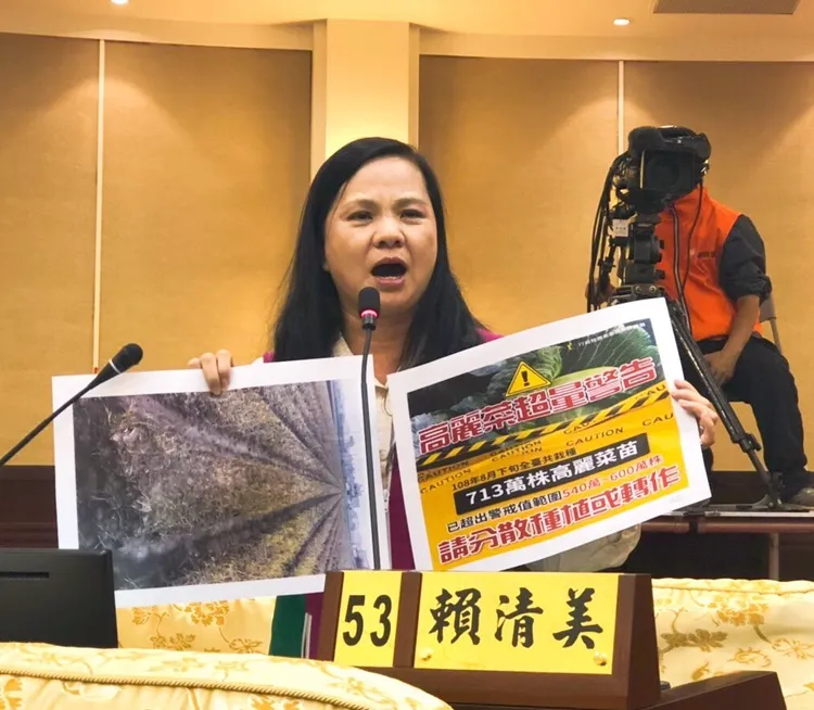 賴清美過去以關懷弱勢深獲選民支持，沒想到因派出所停車事件重挫形象。翻攝賴清美臉書