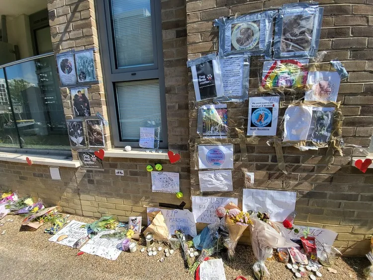 英國禁養比特犬。2023年5月，在東倫敦一處運河旁發生2隻與比特犬血緣相近的斯塔福郡鬥牛㹴犬攻擊其他寵物犬並導致飼主受傷的事件，警方當場射殺2隻鬥牛㹴犬，引發輿論不滿，民眾並在事發現場為遭射殺犬隻設置紀念區請命，其中可見標語「狗命也是命」（Dog Lives Matter）。攝於2023年6月。 中央社