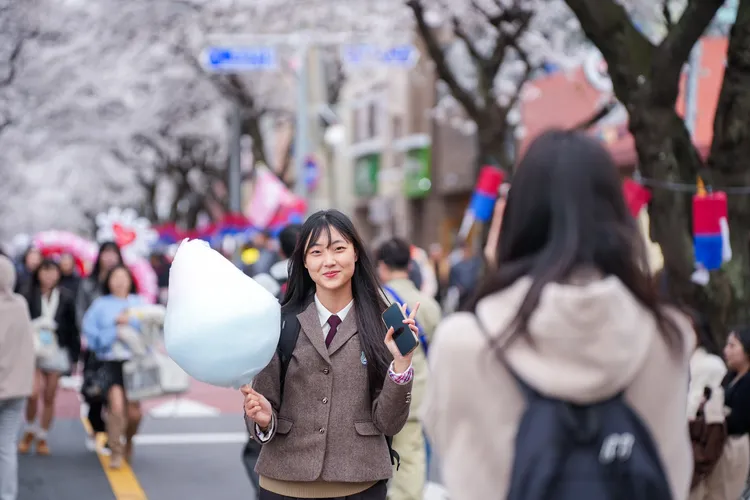 遊客漫步櫻花道下賞花取景。田欣雲攝影