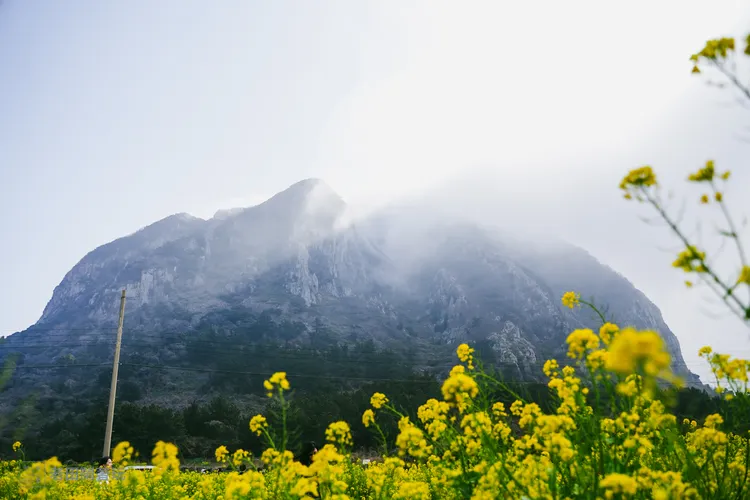 山房山因為山體南側崖壁上有個海蝕洞窟，遠看像座房子，所以得名。田欣雲攝影