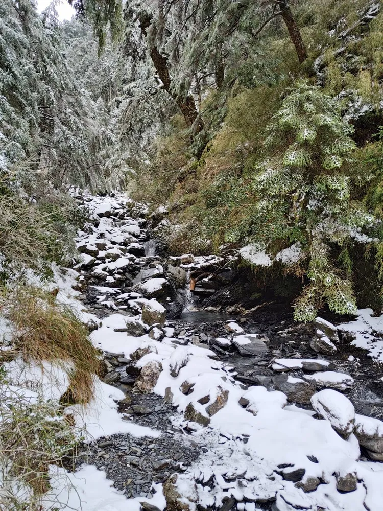 成功山屋雪況。太管處提供