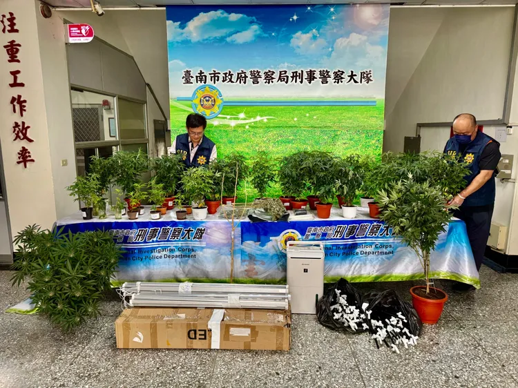 警方查獲大麻活株140株及大麻成品半成品12.133公斤。翻攝畫面