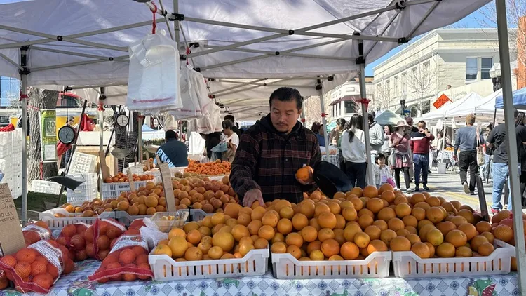 加州舊金山灣區的假日農夫市集內有不少攤商販賣加州本地或自外國進口的水果。 中央社