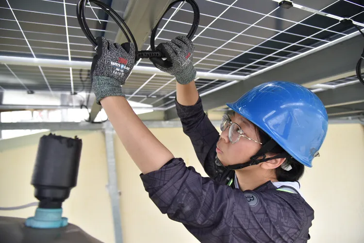 郭小瑄短短職訓半年，結訓取得太陽光電乙級等3張證照，還順利到業界任職。翻攝畫面