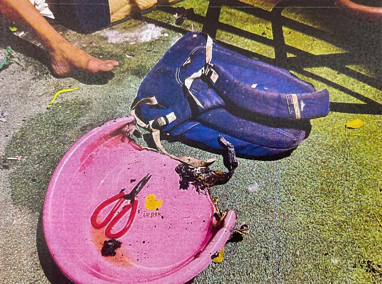 溜滑梯設施遭燒損。翻攝畫面