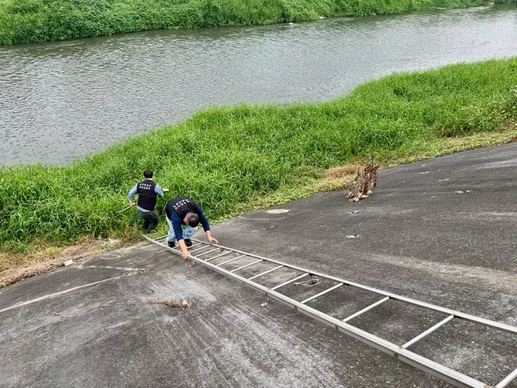 畜牧場稽查。翻攝畫面