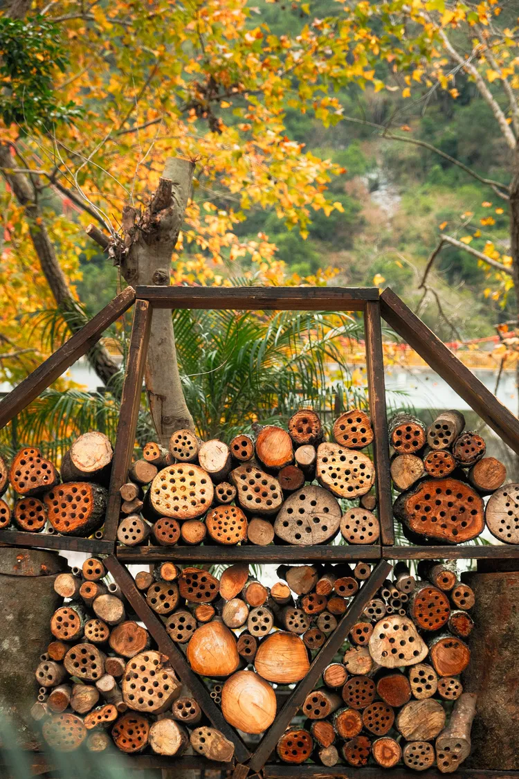 太魯閣晶英酒店與國家公園聯手，將對生態有益的獨居蜂旅館製作方式教授給入住旅人。太魯閣晶英酒店提供