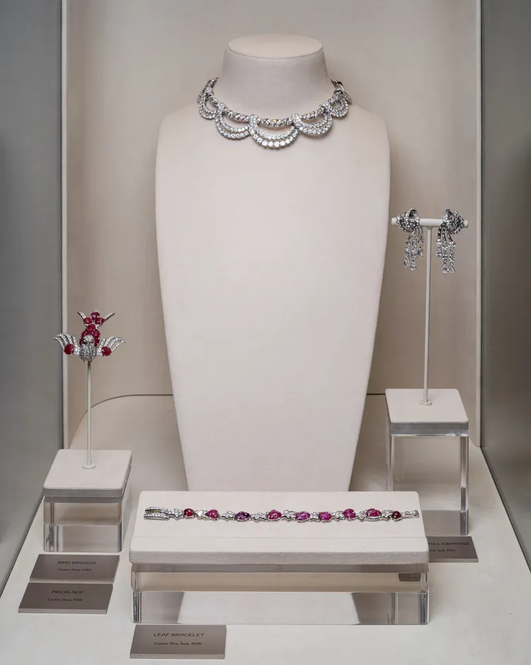 卡地亞Nature Sauvage高級珠寶系列第三章暨最終章發表。品牌提供