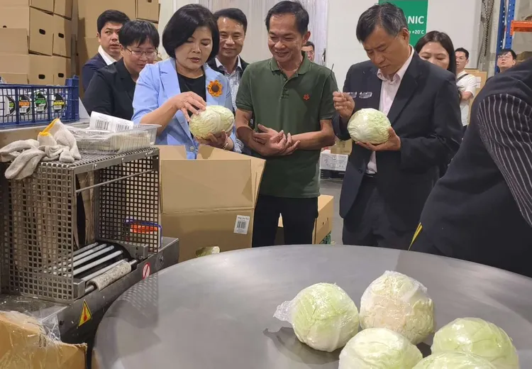 雲林生鮮農產透過當地最大的東源水EG公司，供應新加坡超市業者。雲縣府提供