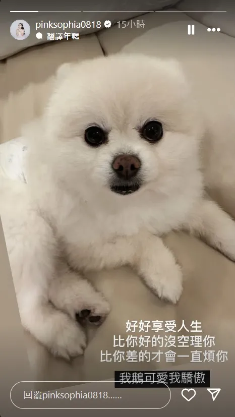 王思佳似在回應老公職業的傳言。翻攝王思佳IG