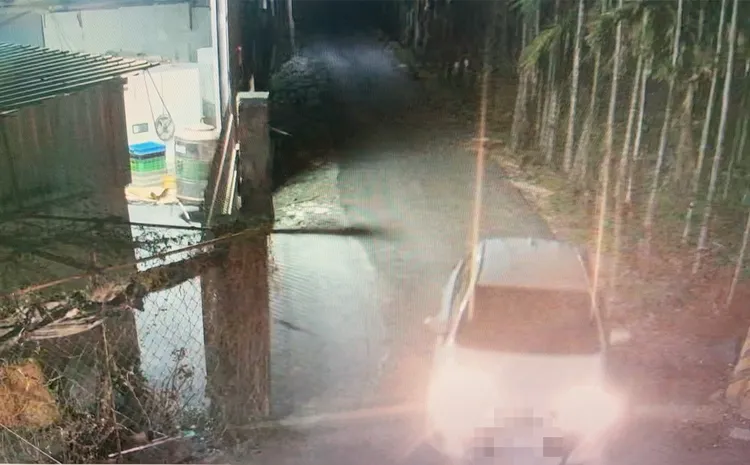 竊嫌開車來偷蘇卡達象龜。翻攝畫面