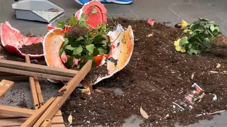 飯糰店盆栽被砸碎滿地。翻攝畫面