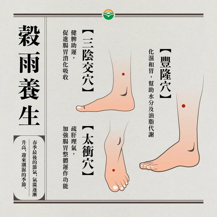 中醫師傳授穀雨保養3穴位。馬光中醫提供