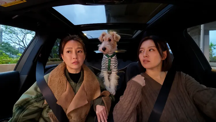 謝欣穎（左）說狗兒子Cooper是上天派來療癒她的，右為劉品言。鏡電視提供