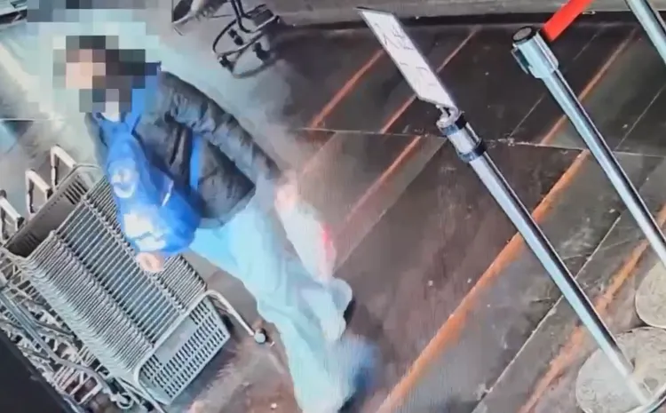 婦人得手後離去。警方提供