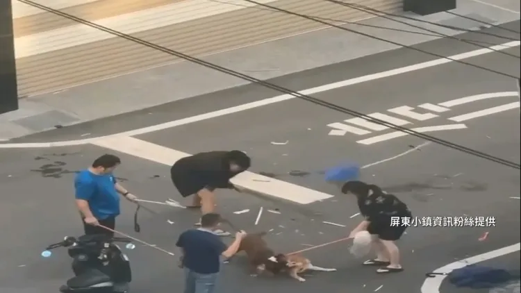 彼特犬咬住柴犬，眾人棒打比特，試圖救出柴犬。翻攝「小鎮資訊媒體交流」