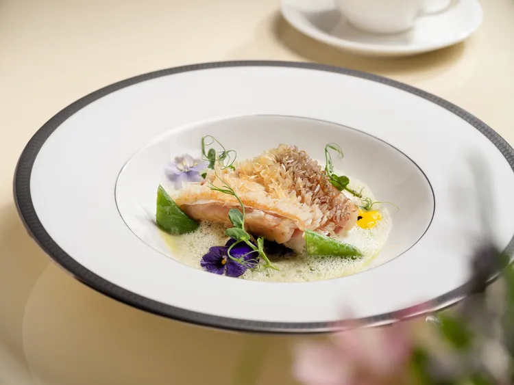 文華Café「平日午間饗．吃．吧」推出全新季節主餐「澎湖馬頭魚立鱗燒佐青豆蛤蜊醬汁」，採用日式「立鱗燒」技法，以熱油淋燙魚鱗呈現酥脆口感，搭配青豆蛤蜊醬汁，感受宛如雲霧般輕柔的春日雅緻食感。台北文華東方酒店提供