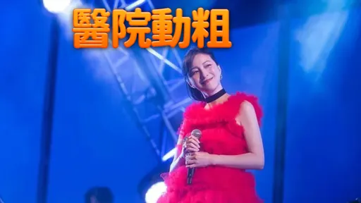 廣末涼子又出事!涉傷害護理師 被依現行犯逮捕