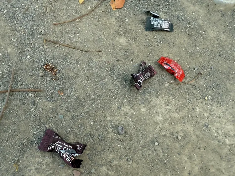 男子餵食狗狗巧克力。翻攝畫面