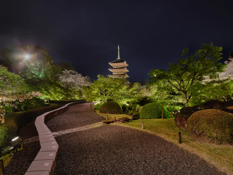 Dior選在日本京都東寺發表2025早秋系列女裝。品牌提供