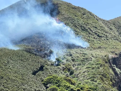 阳明山火灾 国科会:启动内部调查 绝不卸责