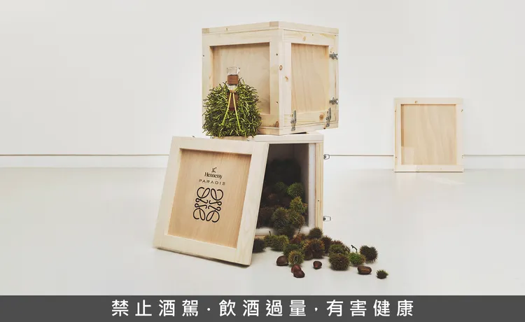 草霧綠（Anise）皮革「巢」形裝飾，設計靈感取自栗子外殼，不僅是視覺與工藝的巔峰之作，更象徵著精湛工藝與時間的淬鍊。業者提供