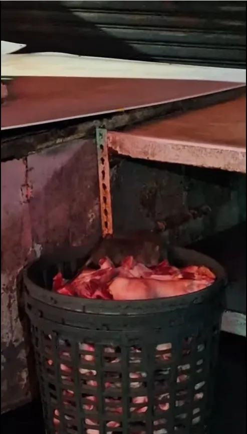 翻攝《匿名2公社》社團