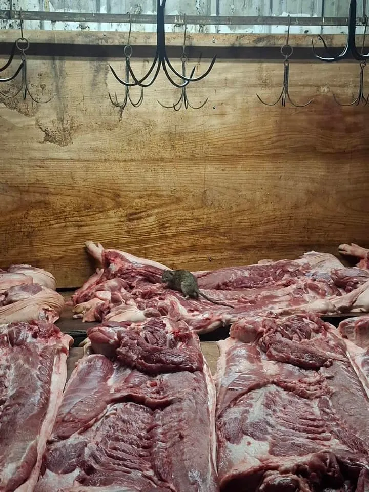 翻攝《匿名2公社》社團